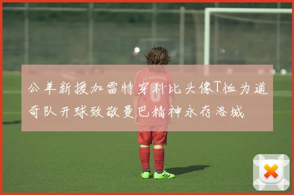 公羊新援加雷特穿科比头像T恤为道奇队开球致敬曼巴精神永存洛城